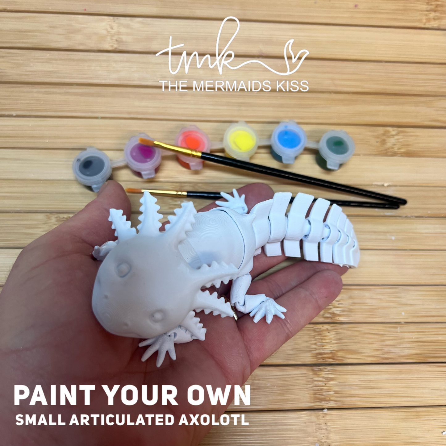Wholesale Paint Your Own 3D Prints Kits x5